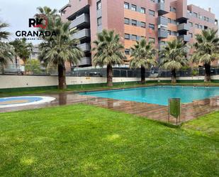 Swimming pool of Attic to rent in  Granada Capital  with Air Conditioner and Terrace