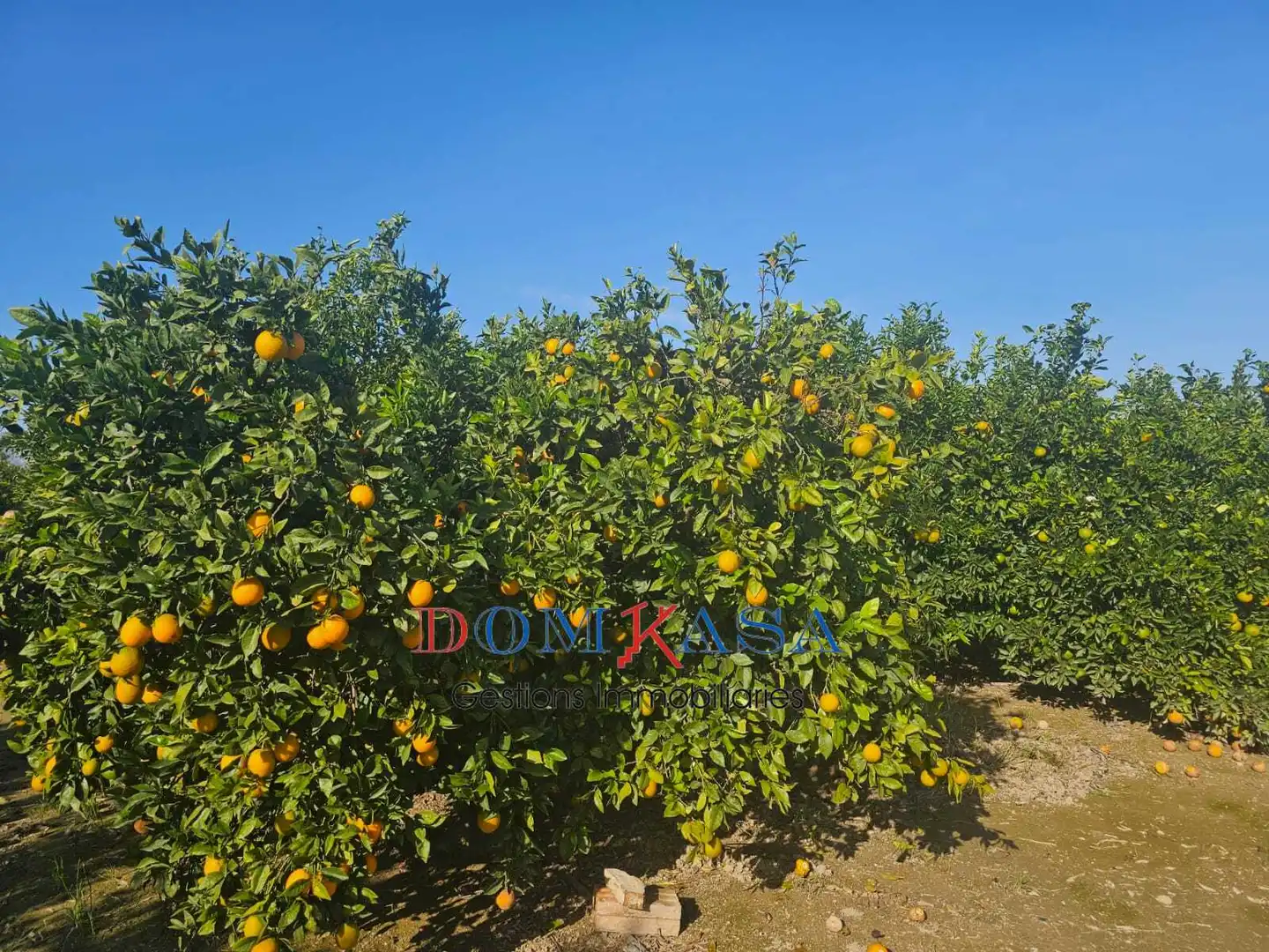 Rural land for sale in Bítem