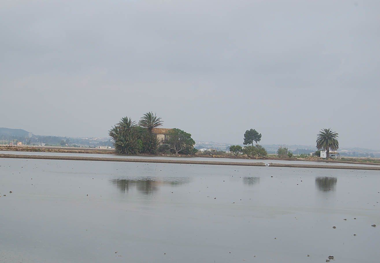 Country house for sale in Amposta