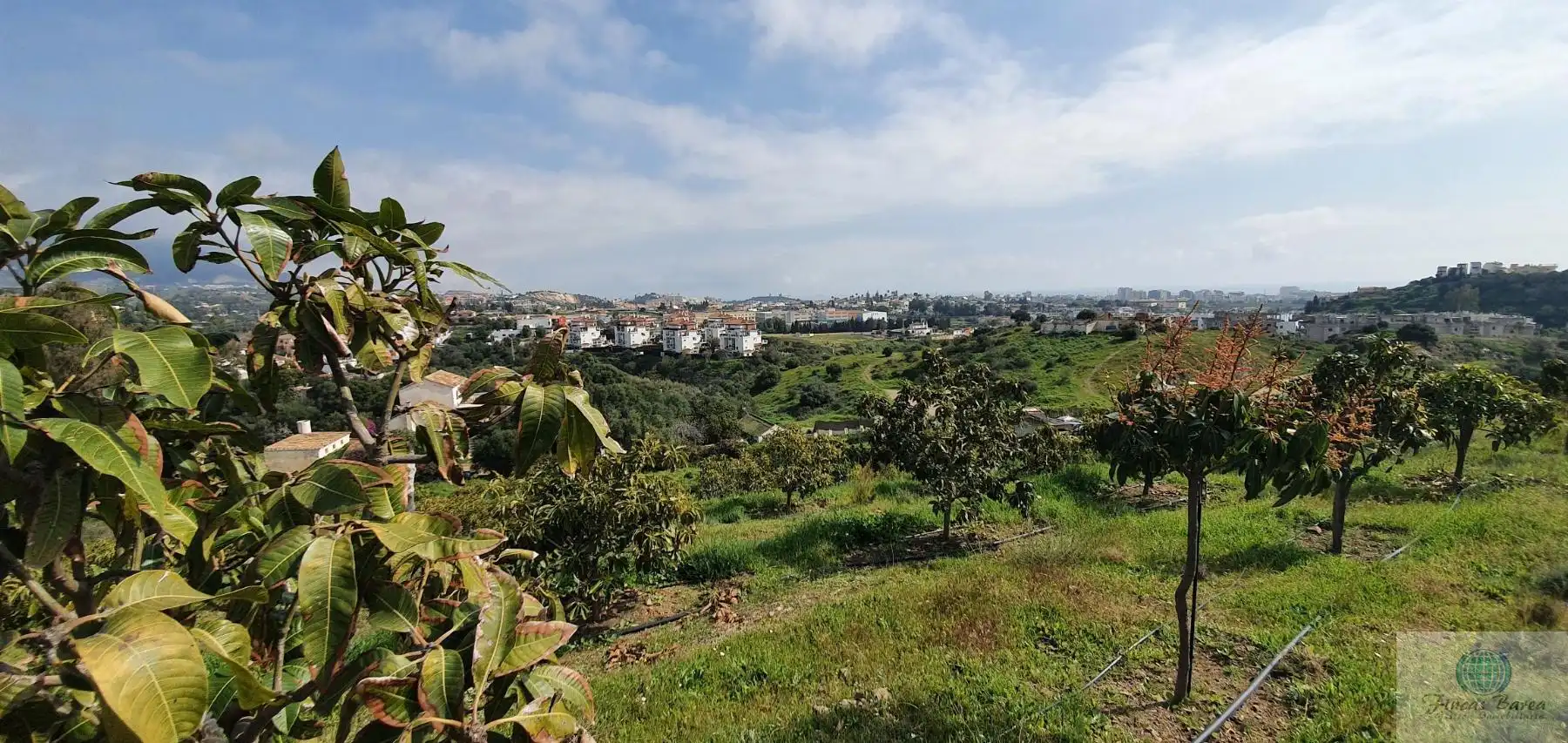 Casa rustica in vendita a Campo de Mijas, imagen 4