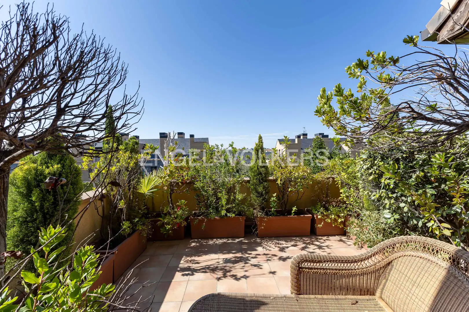Houses for rent in Encinar de los Reyes