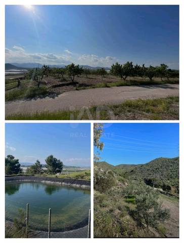 Terreno en Venta en Pozo Higuera