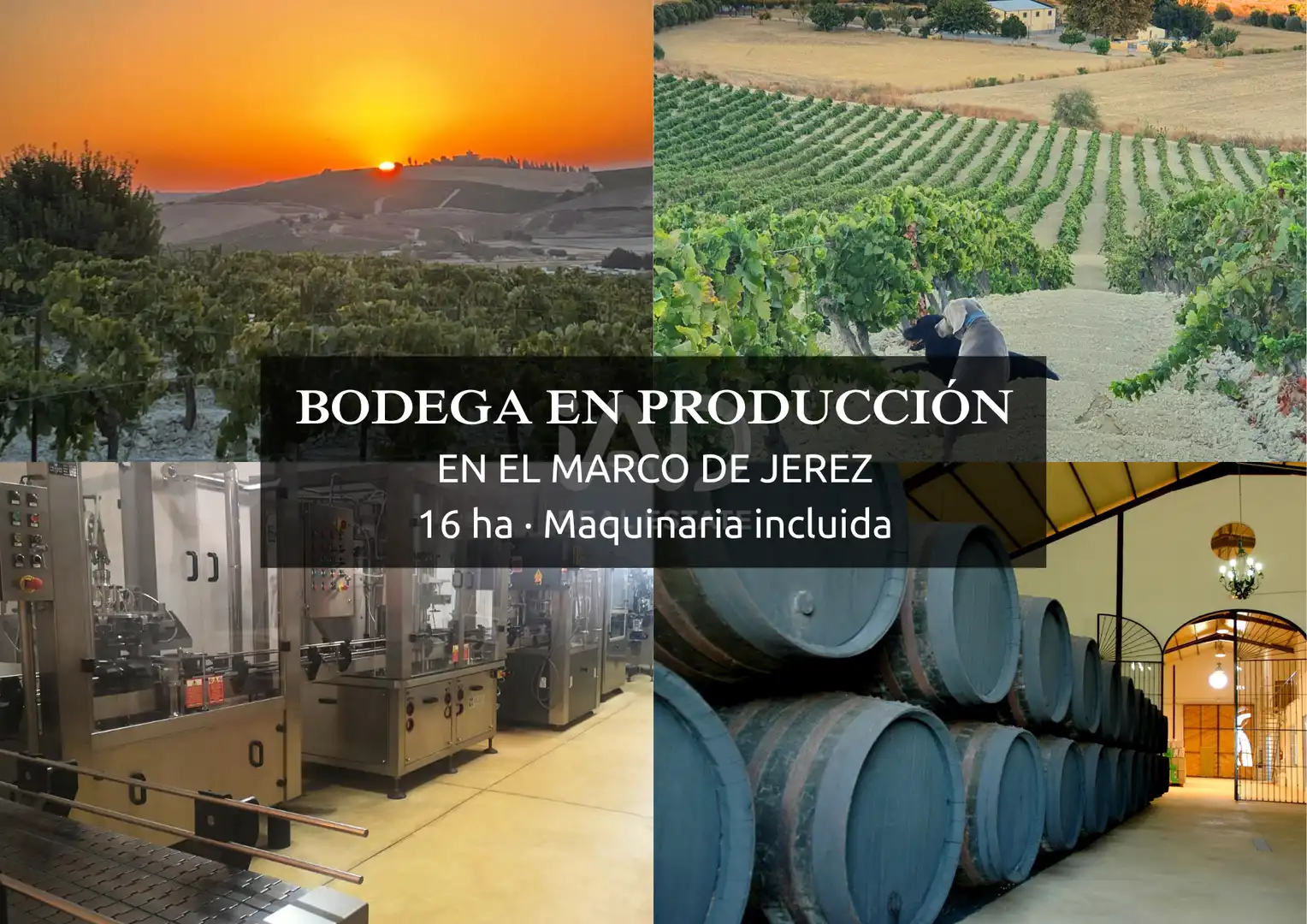 Exterior view of Land for sale in Jerez de la Frontera