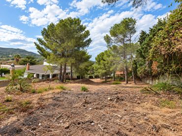 Terreno rustico in vendita a Picassent - CL COVA FUMÀ