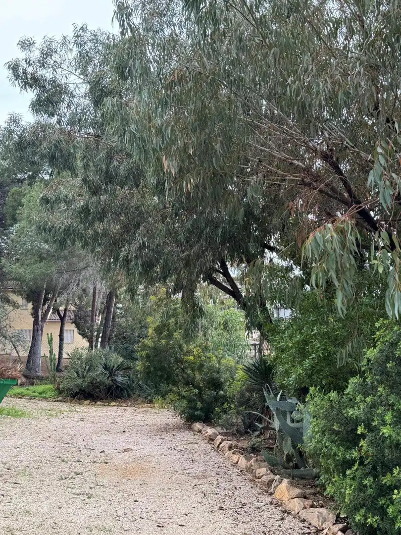 Jardí de Residencial en venda en L'Alfàs del Pi