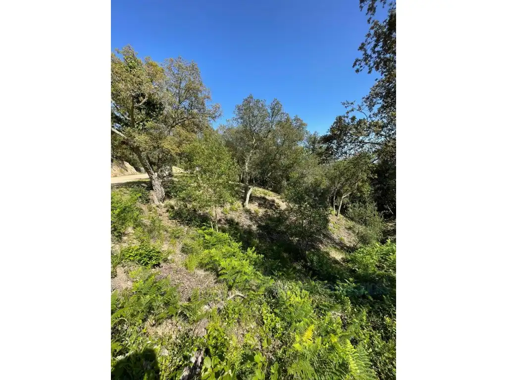 Wohnbaugrundstück zum Verkauf in Lloret Blau - La Creu de Lloret