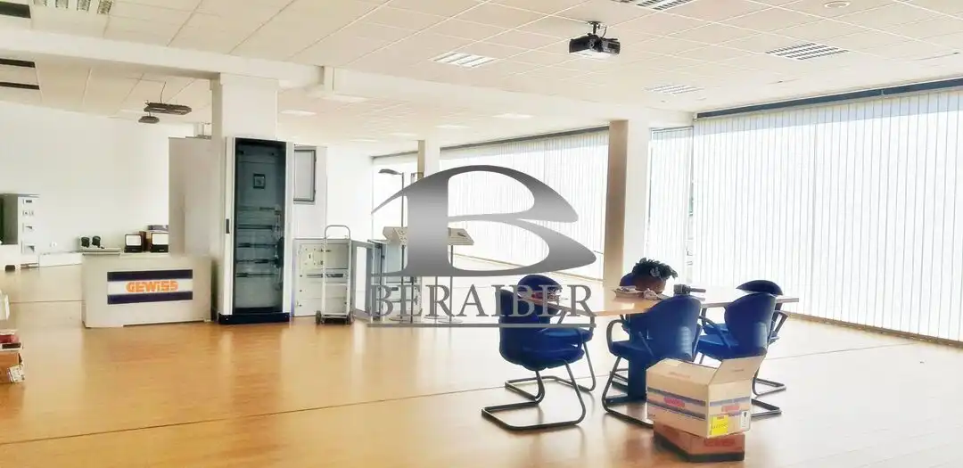 Industrial buildings for rent in Zaratamo