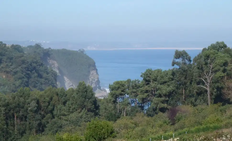 Jardín de Casa o chalet en venta en Villaviciosa
