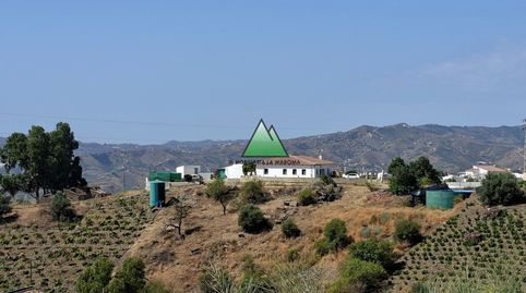 Foto 5 de Finca rústica en venda a Carretera Almachar-velez (triana) (triana-zorrilla, Norte - Barrio del Pilar - El Reñidero, Vélez-Málaga