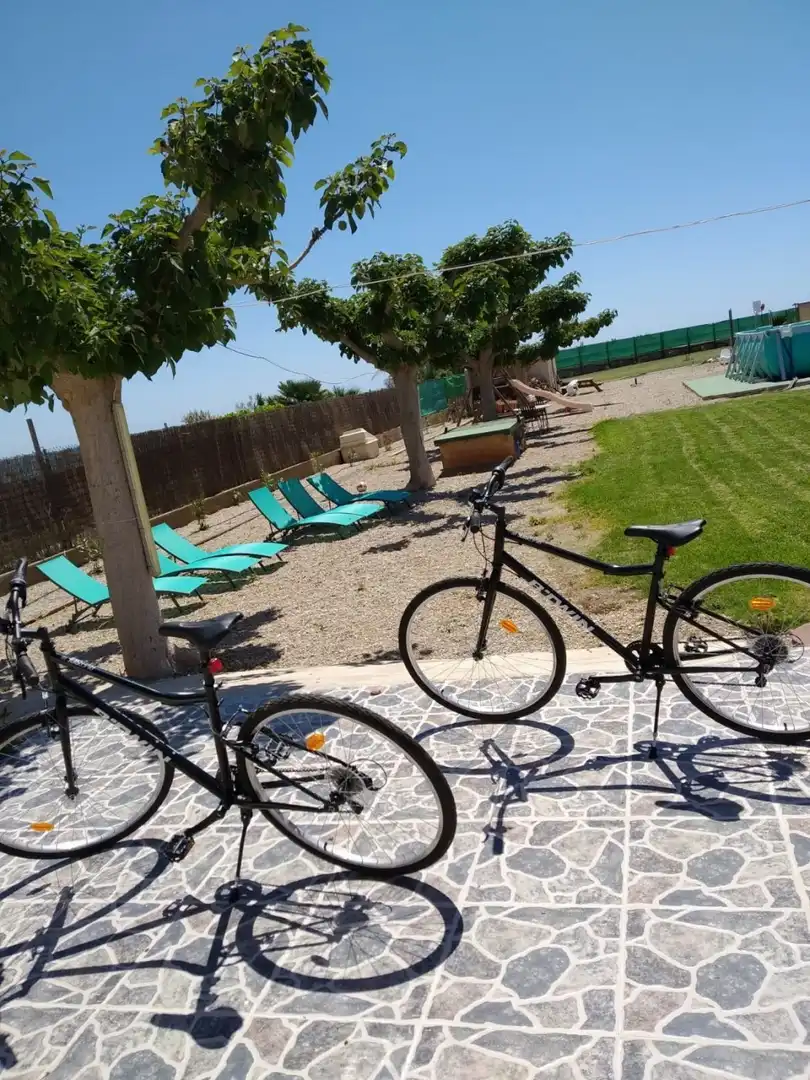 Garden of Houses for sale in Alcanar  with Heating, Private garden and Terrace