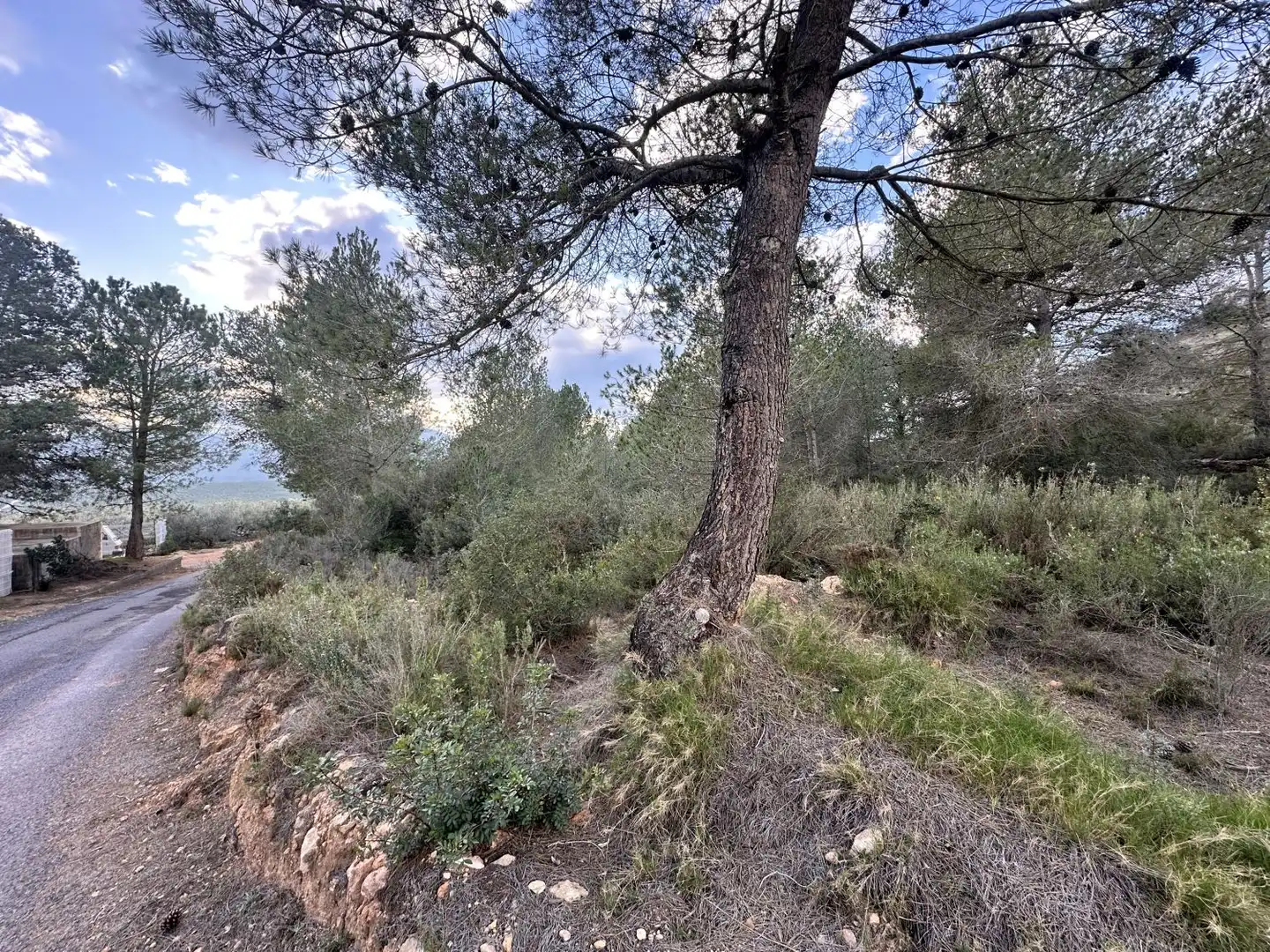 Terrenos y solares en venta en Alfara de la Baronia, imagen 11