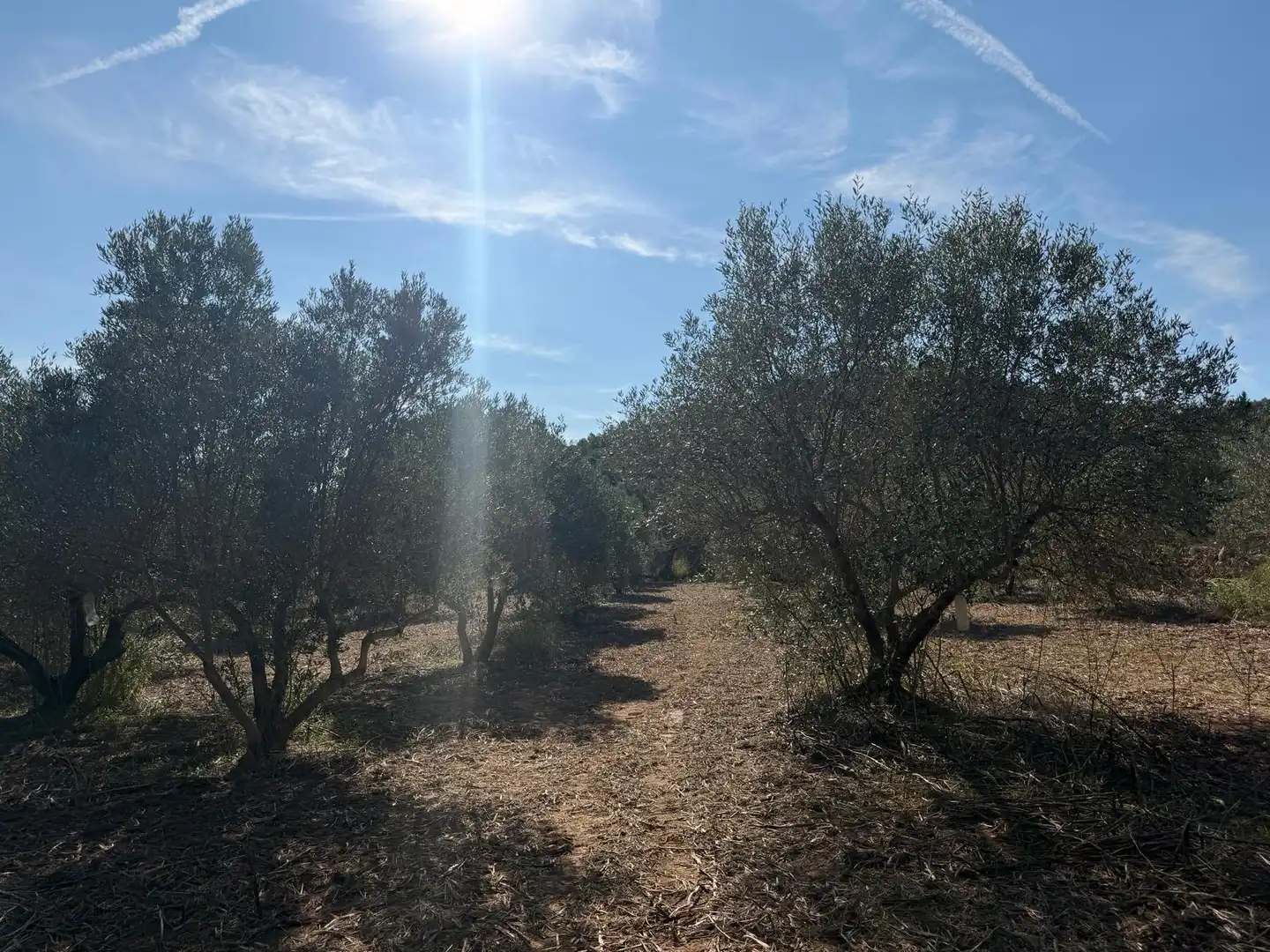 Residencial en venta en El Pinell de Brai