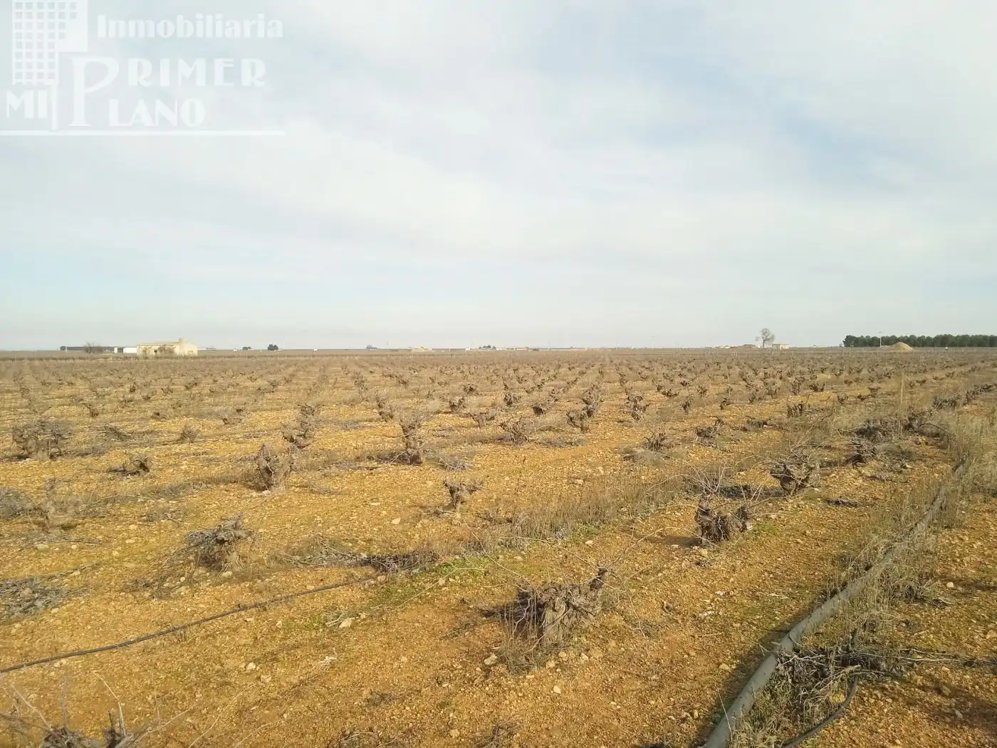 Terrenos y solares en venta en Socuéllamos, imagen 2
