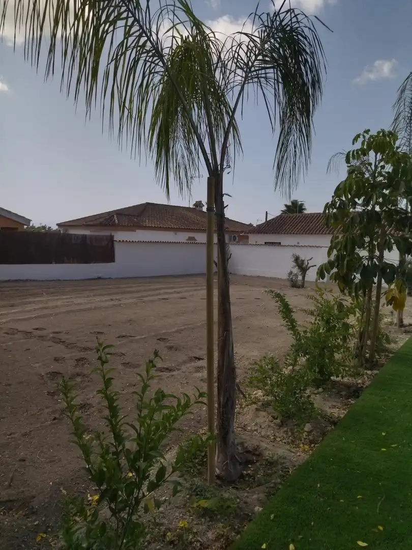 Villa avec piscine à vendre à Barrio Nuevo, imagen 39