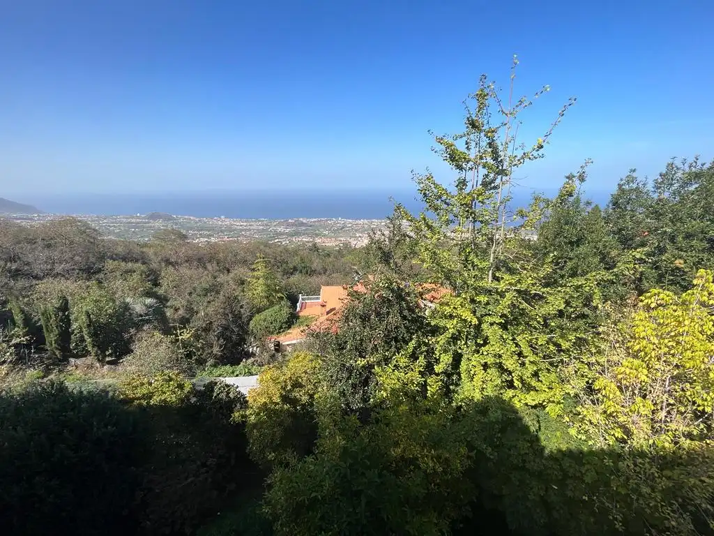 Vista exterior de Casa o chalet en venta en La Orotava con Jardín privado, Terraza y Piscina
