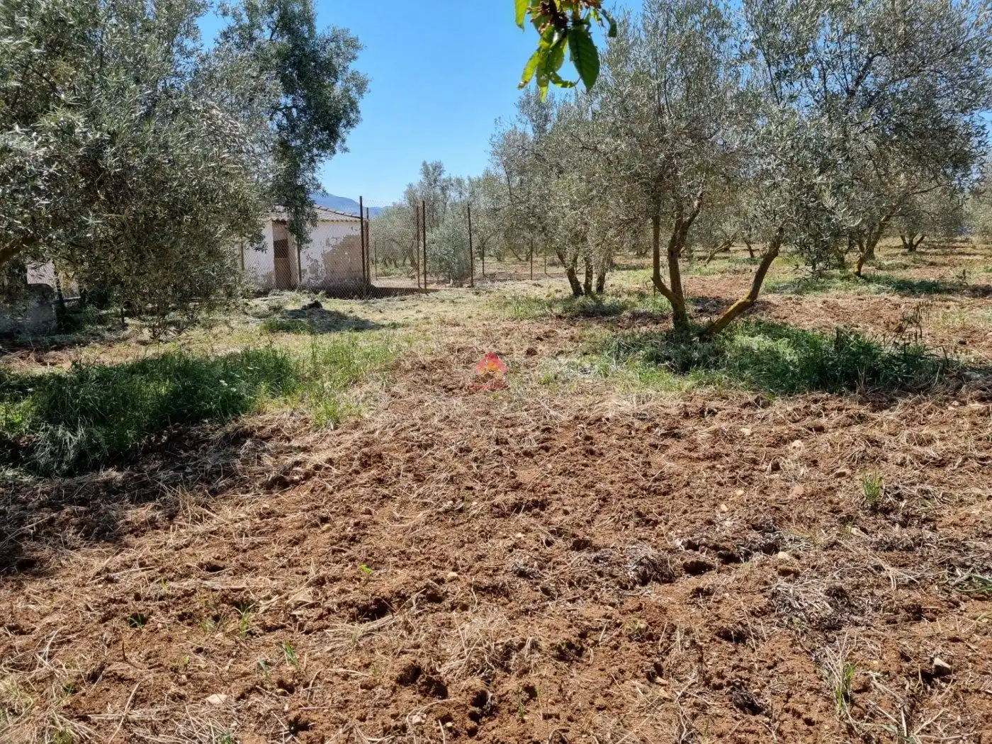 Terreni e lotti in vendita a Casco Histórico, imagen 18