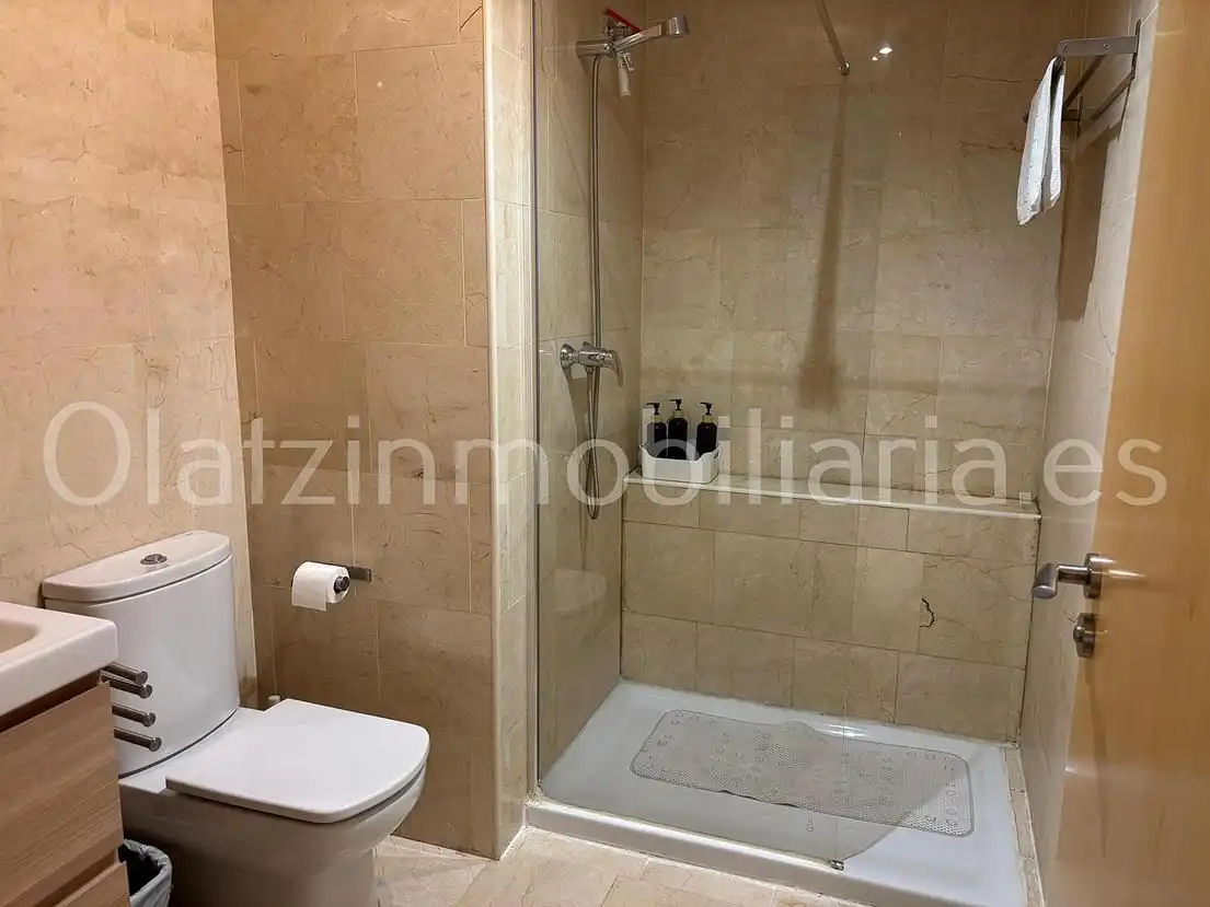 Bany de Casa o xalet en venda en Laudio / Llodio amb Aire condicionat, Calefacció i Jardí privat