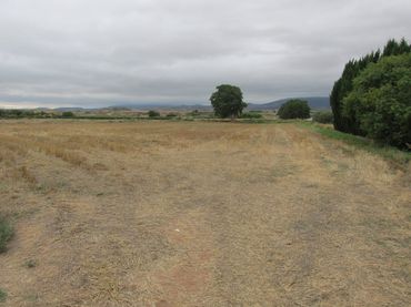 Terreno rustico in vendita a Camino Polígono 7