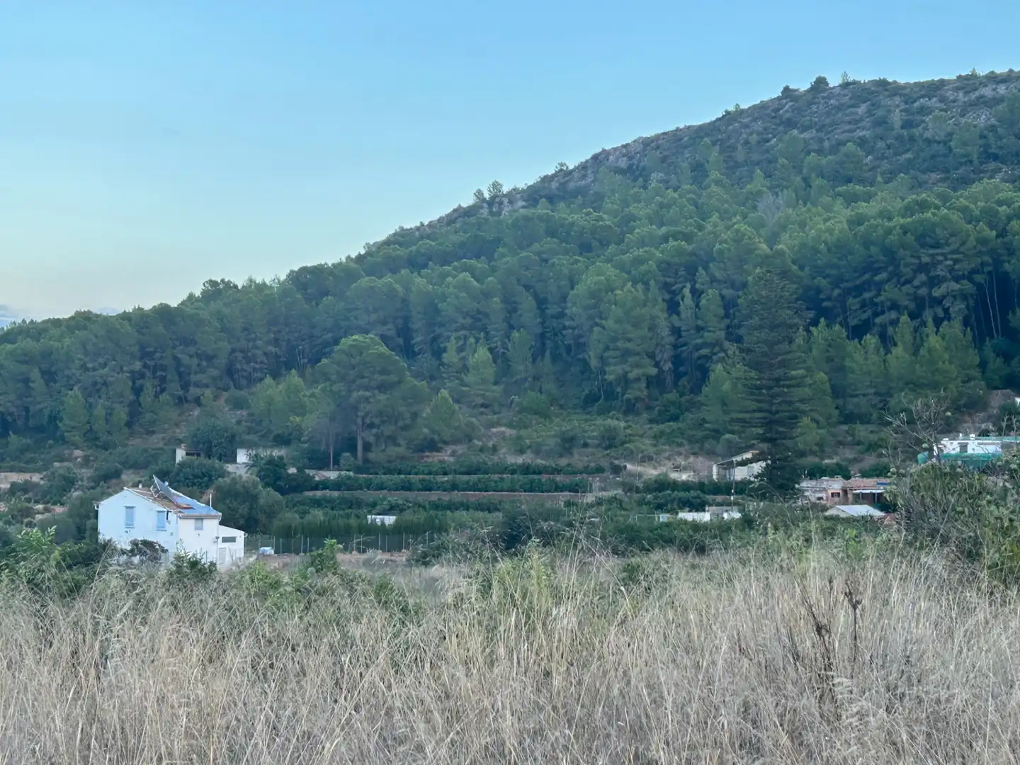 Terreny rústic en venda a Camí Jovada, imagen 7