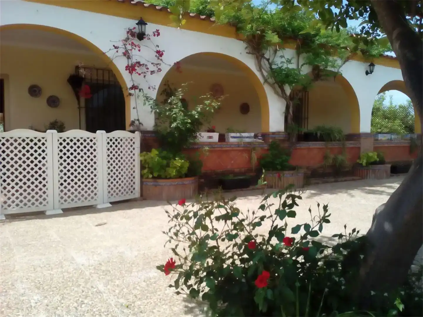 Casa o xalet de lloguer a Carmona