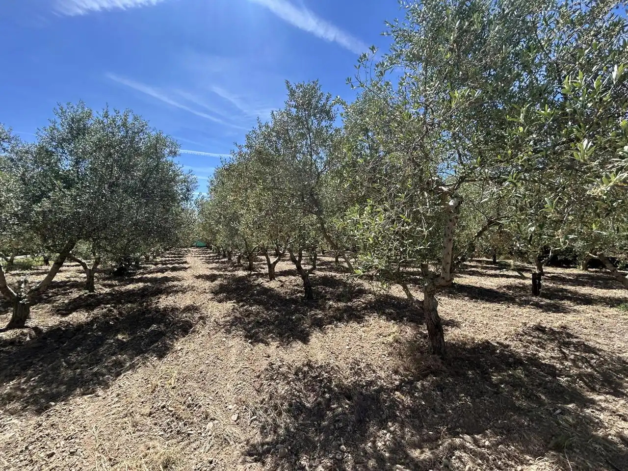 Country homes for sale in 0, Cascante