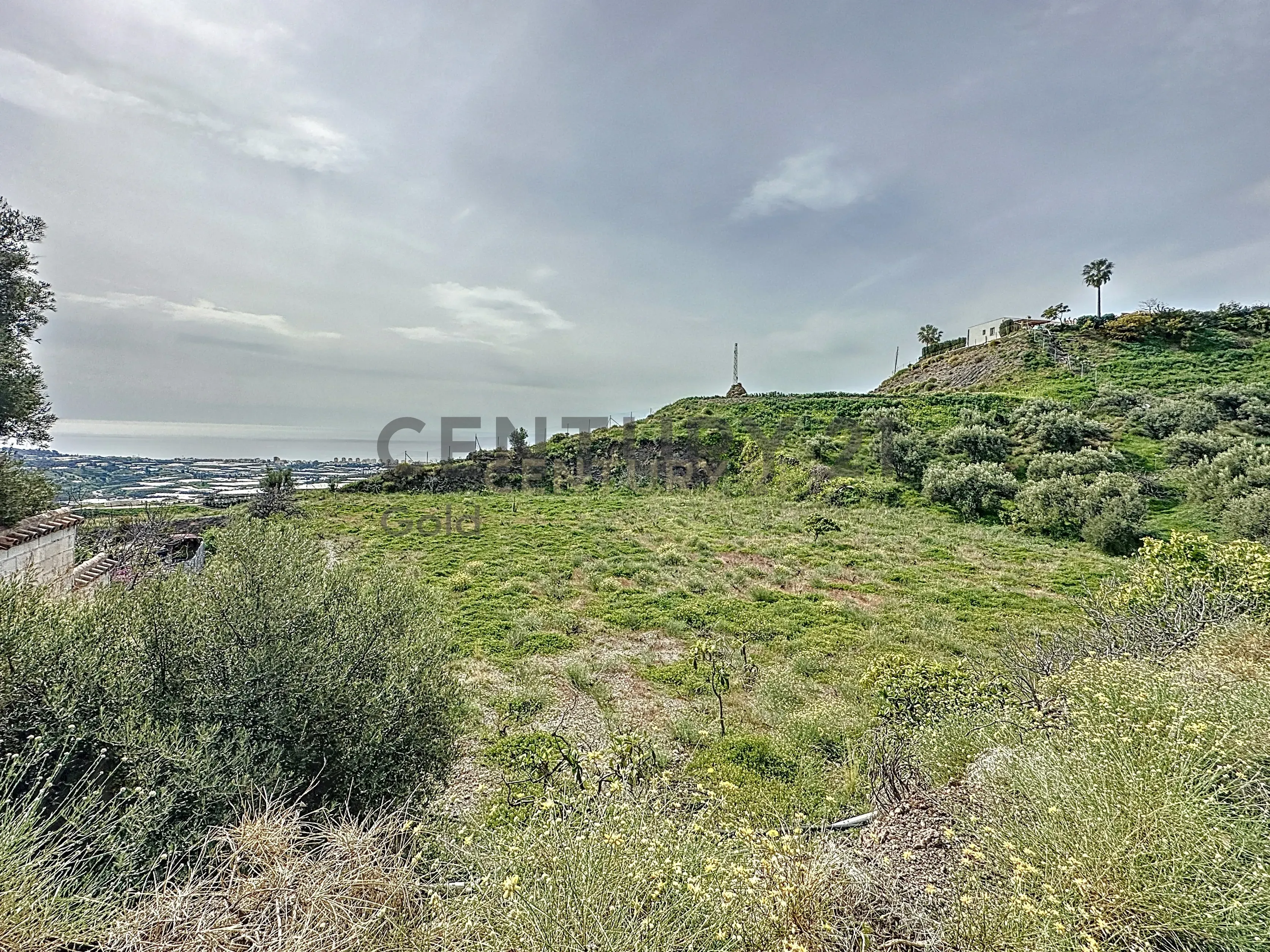 Land for sale in Algarrobo