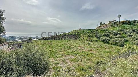 Foto 2 de Terreny en venda a Camino Zarzaparrilla - Fuente de Ariza, 183, Algarrobo pueblo, Málaga