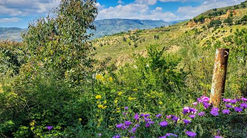 Photo 5 of Country house for sale in Calle Higueruelas Pol 13, Parc 7, Lanjarón, Granada