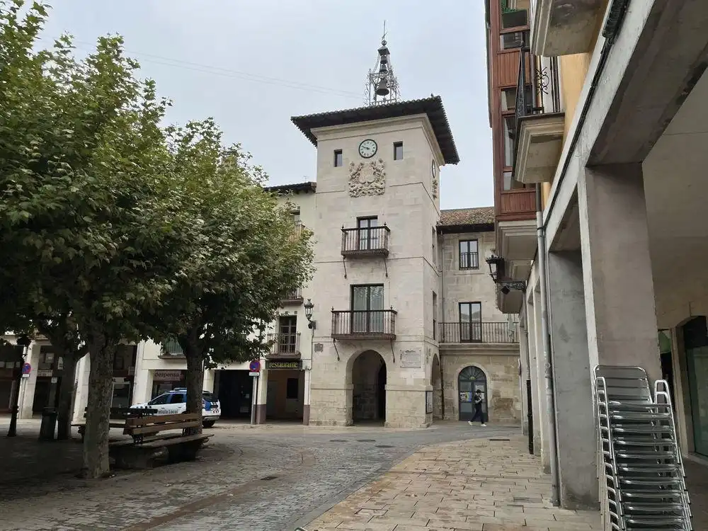 Pis amb terrassa en venda a Plaza MAYOR, imagen 19