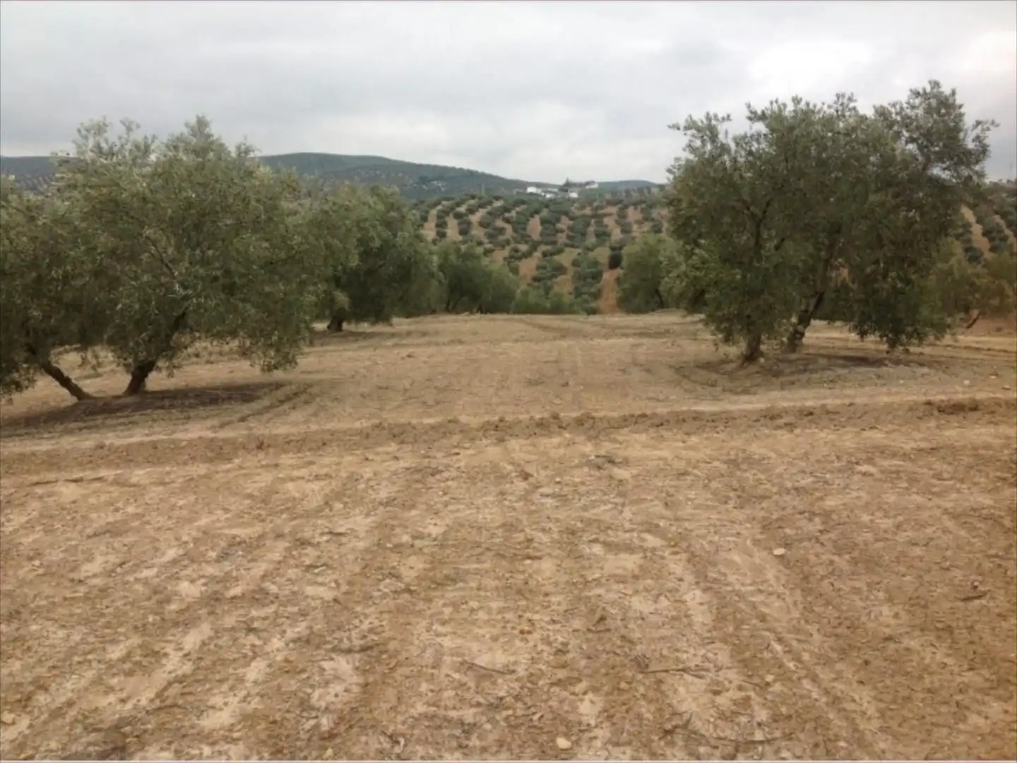 Terreny residencial en venda a Jauja