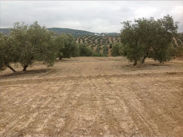 Terreno residenziale in vendita a Jauja