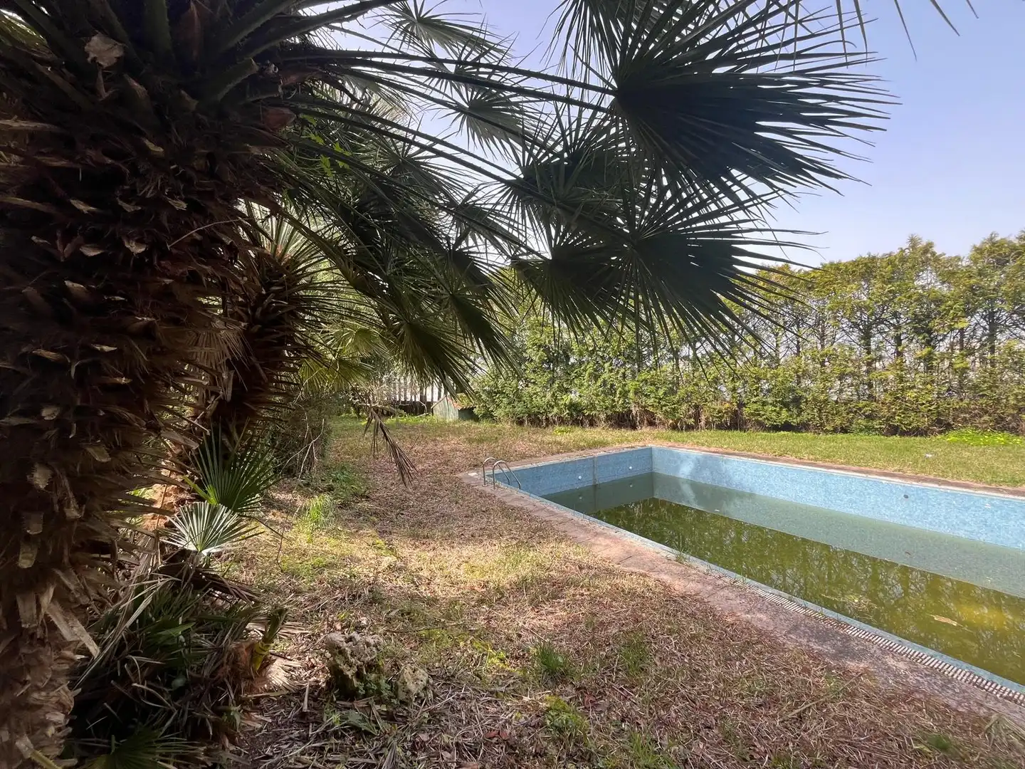 Swimming pool of Houses for sale in Vigo   with Private garden, Terrace and Swimming Pool
