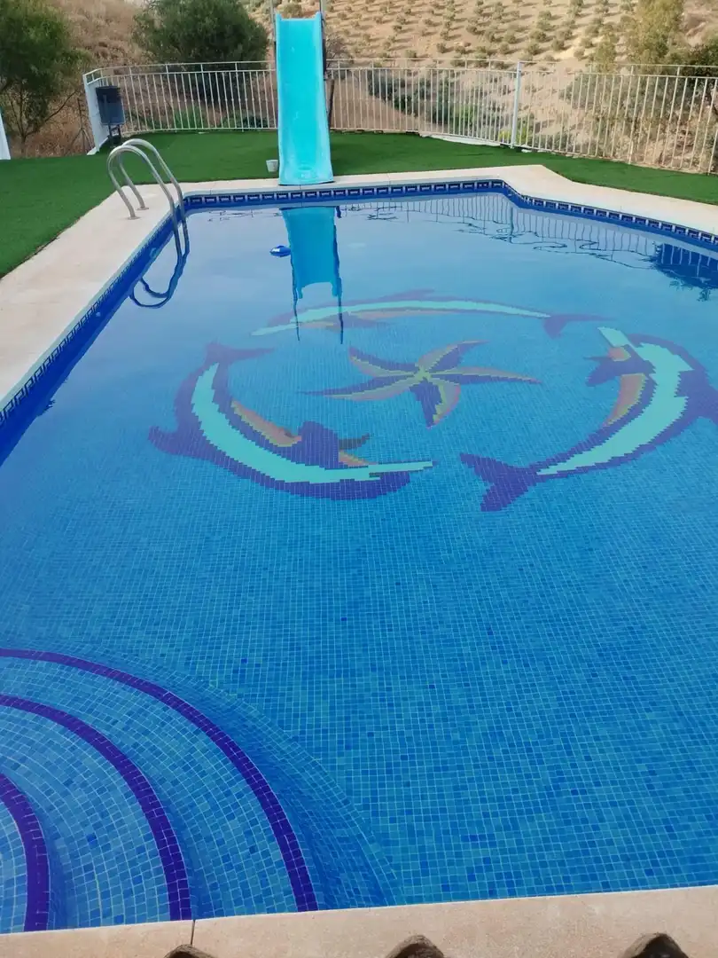 Landhaus mit Pool zum Verkauf in DISEMINADOS, imagen 14