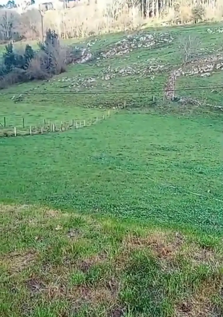 Terreno residenziale in vendita a Arredondo