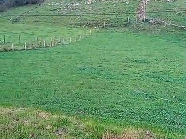Terreno residenziale in vendita a Arredondo