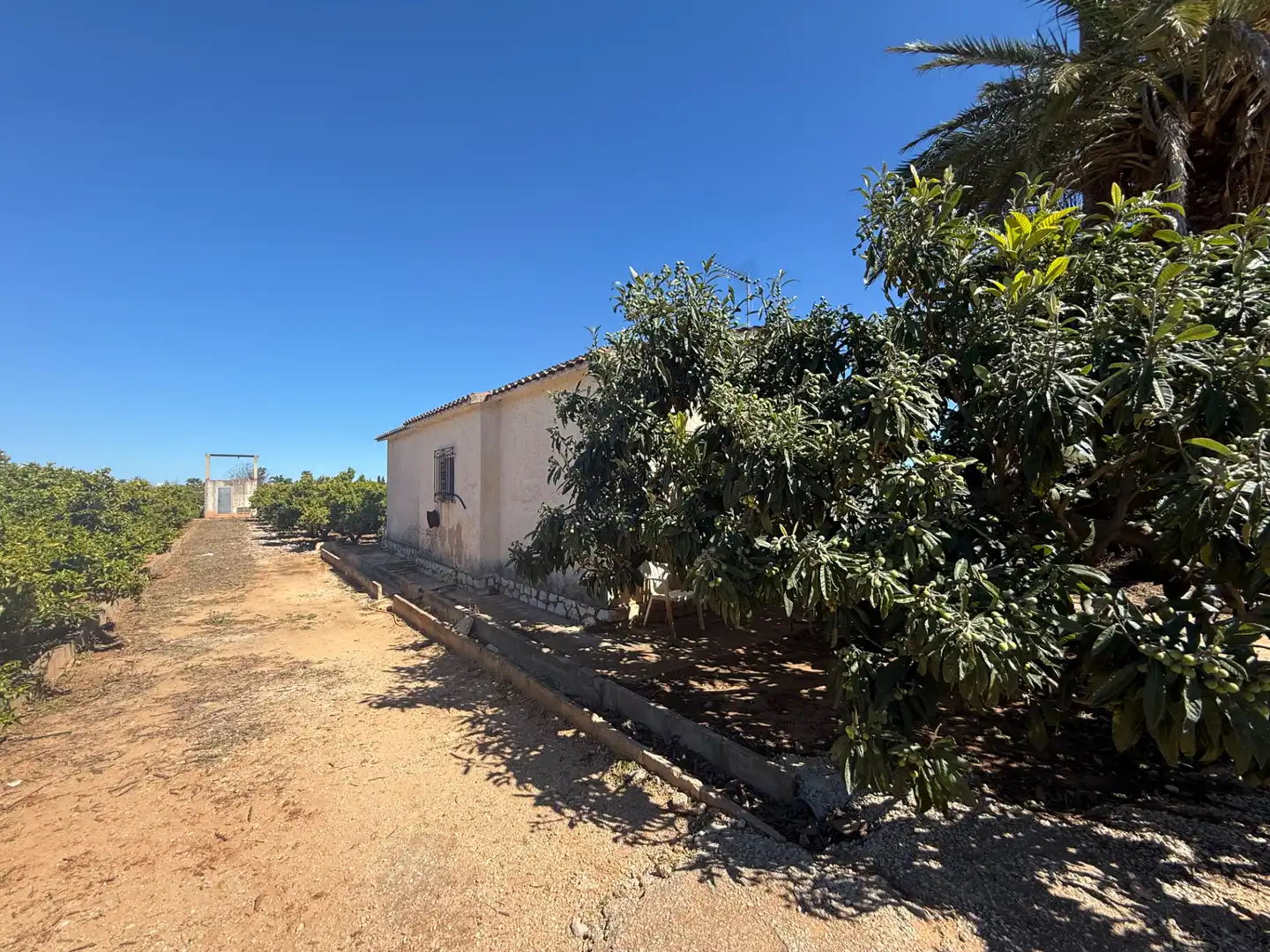 Terreno rustico in vendita a Centro Urbano, imagen 30