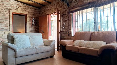 Foto 3 de Finca rústica en venda a Calle Calle Fuente Vieja, Paterna del Campo, Huelva