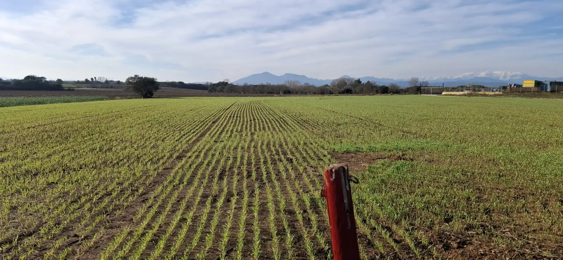 Terreno en venta en Vilafant