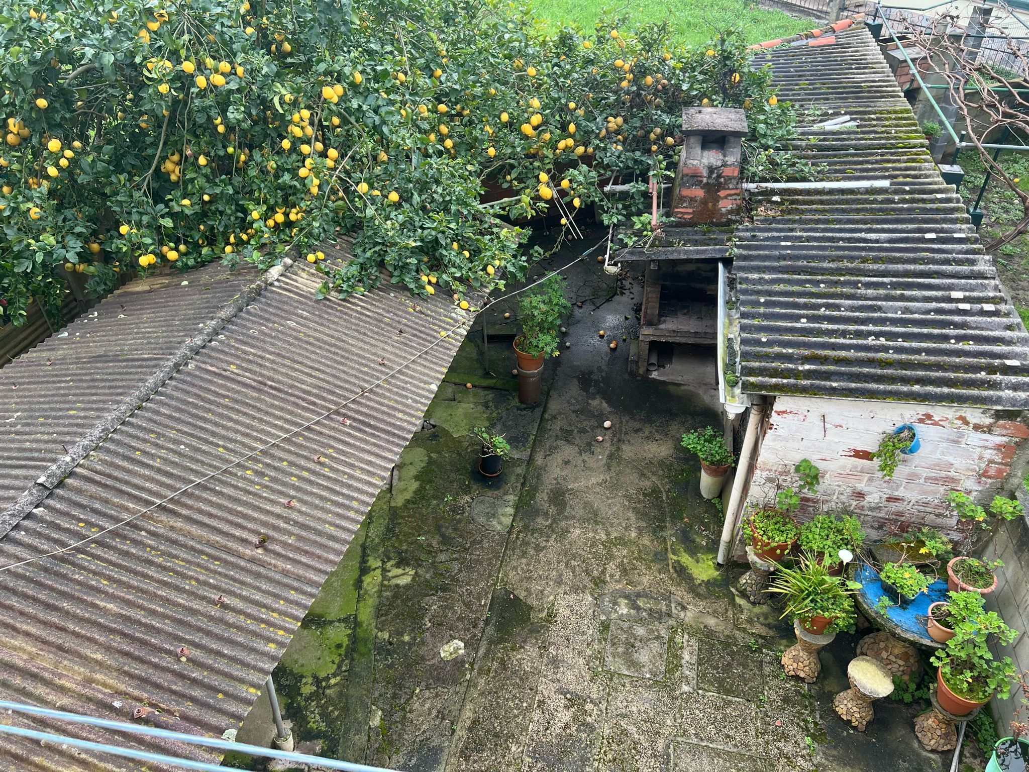 Jardí de Casa o xalet en venda en Ferrol amb Calefacció, Jardí privat i Terrassa