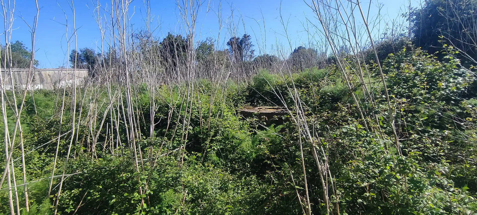 Casa o xalet en venda en Ferrol amb Jardí privat