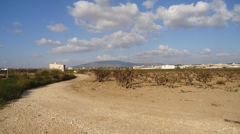 Finca Viñedos en Producción en Pinoso, Alicante