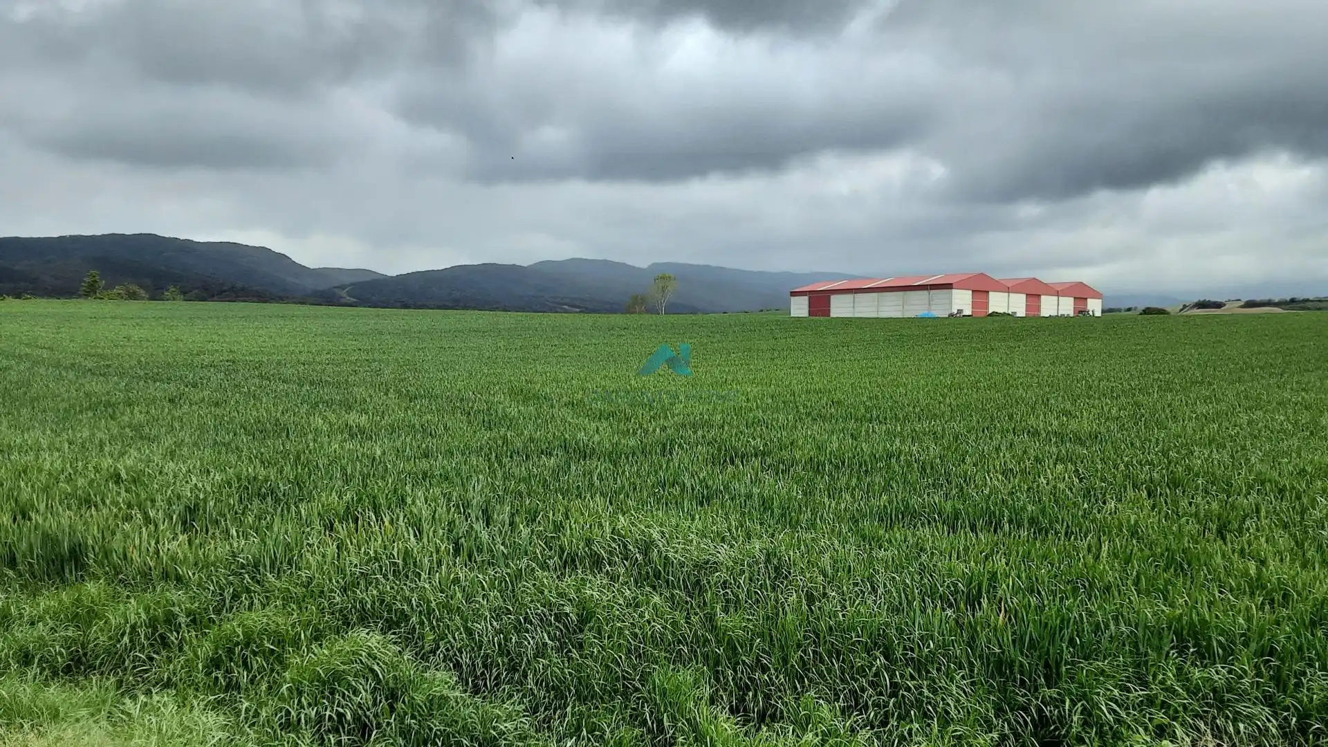Terreno industrial en venta en La Puebla de Arganzón, imagen 7