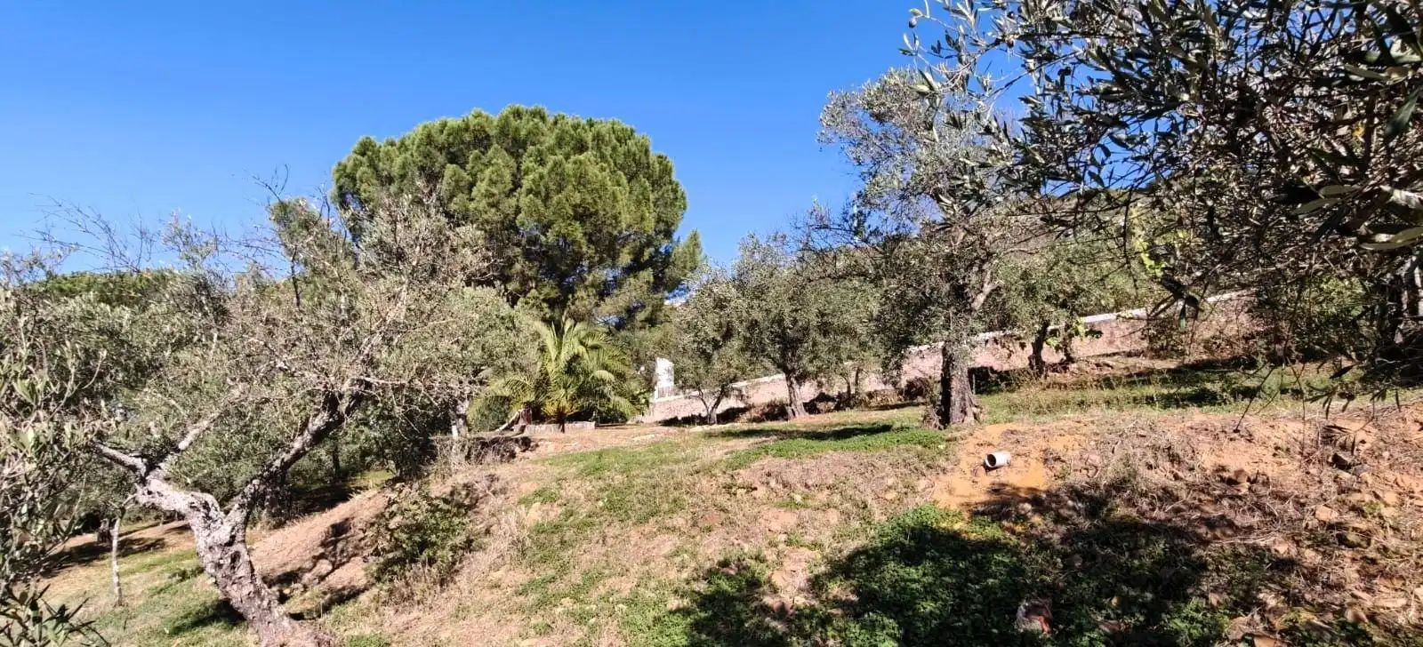 Casa o xalet en venda en Cáceres amb Jardí privat i Piscina