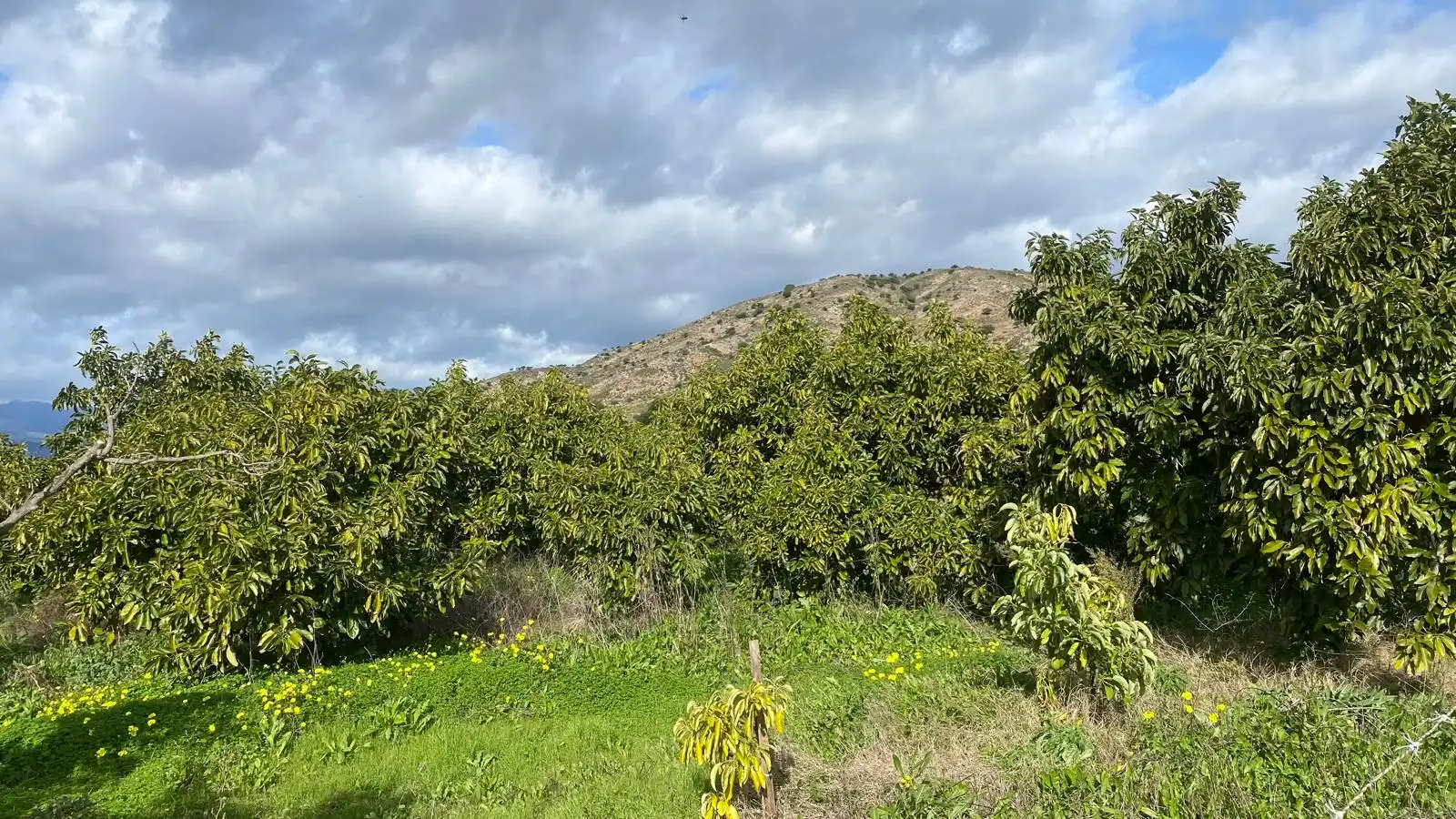 Terreno rustico in vendita a Alquería - Torrealquería, imagen 6