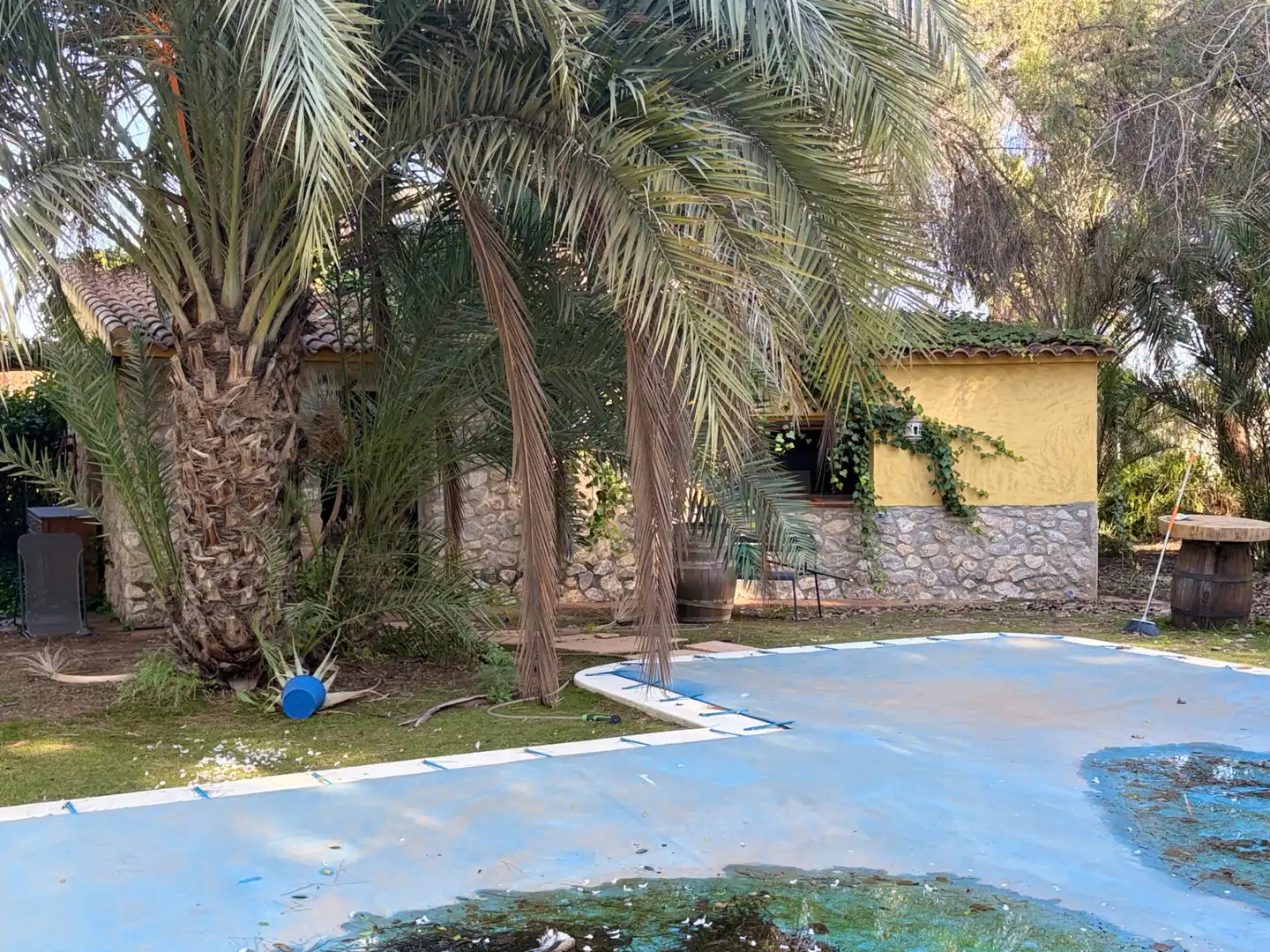 Lands and plots for sale in Abanilla, imagen 22