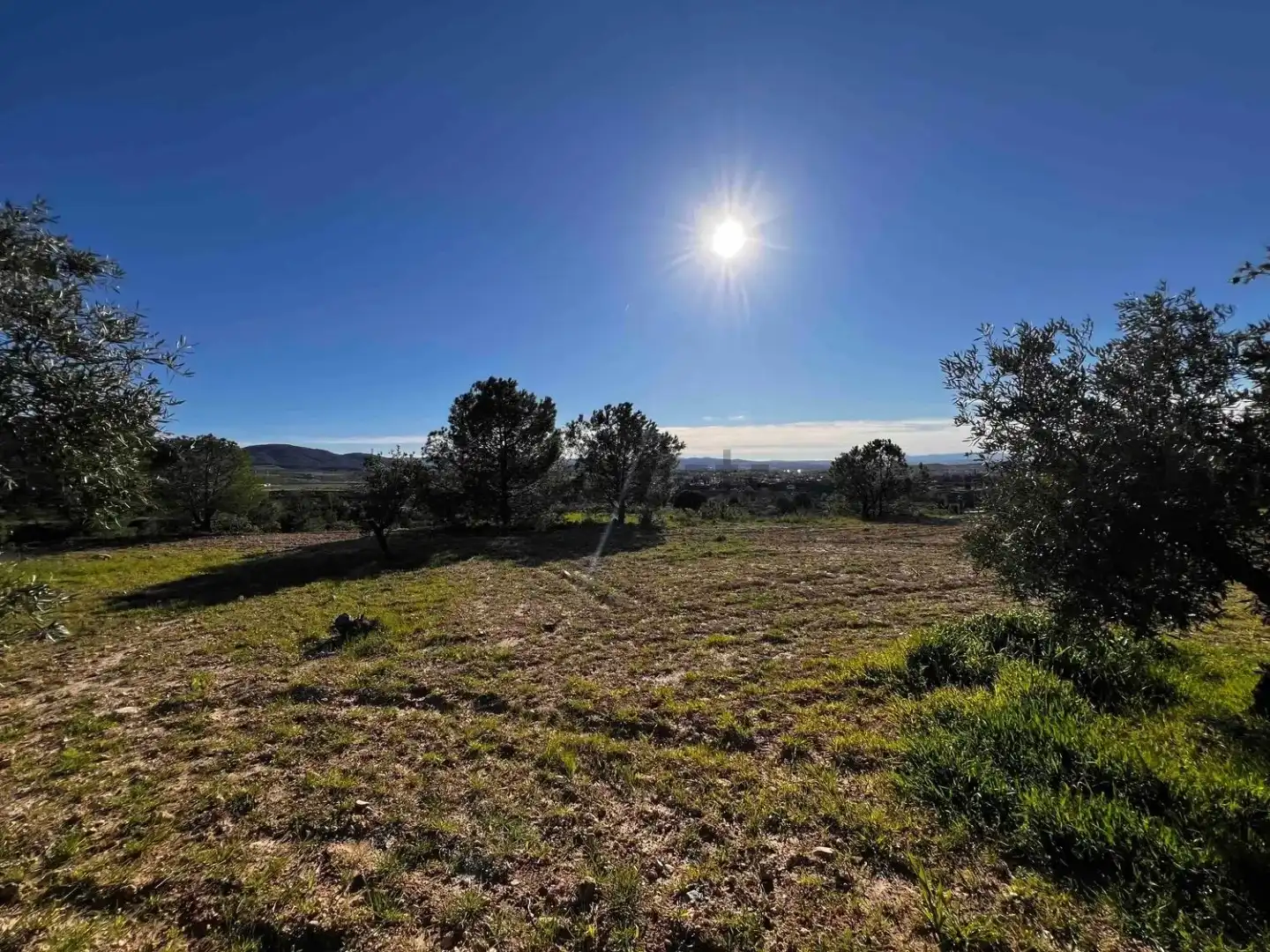 Land for sale in Gójar