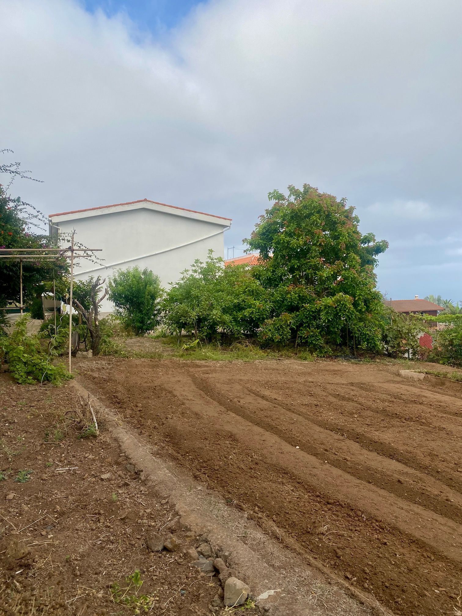 Finca rústica en venta en TAGORO, El Pris - Juan Fernández, Tacoronte