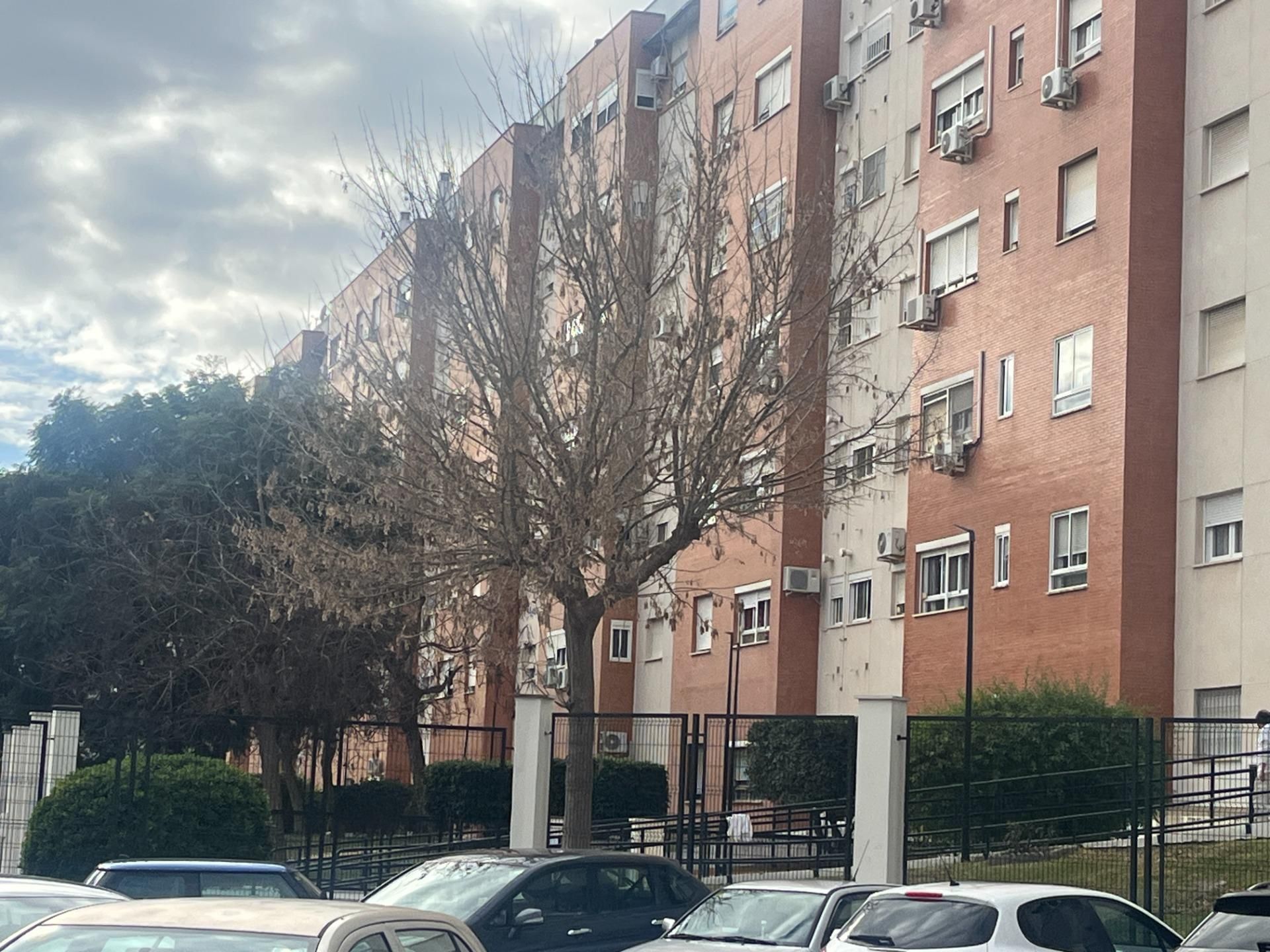 Vista exterior de Planta baixa en venda en Jerez de la Frontera amb Jardí privat, Traster i Piscina comunitària