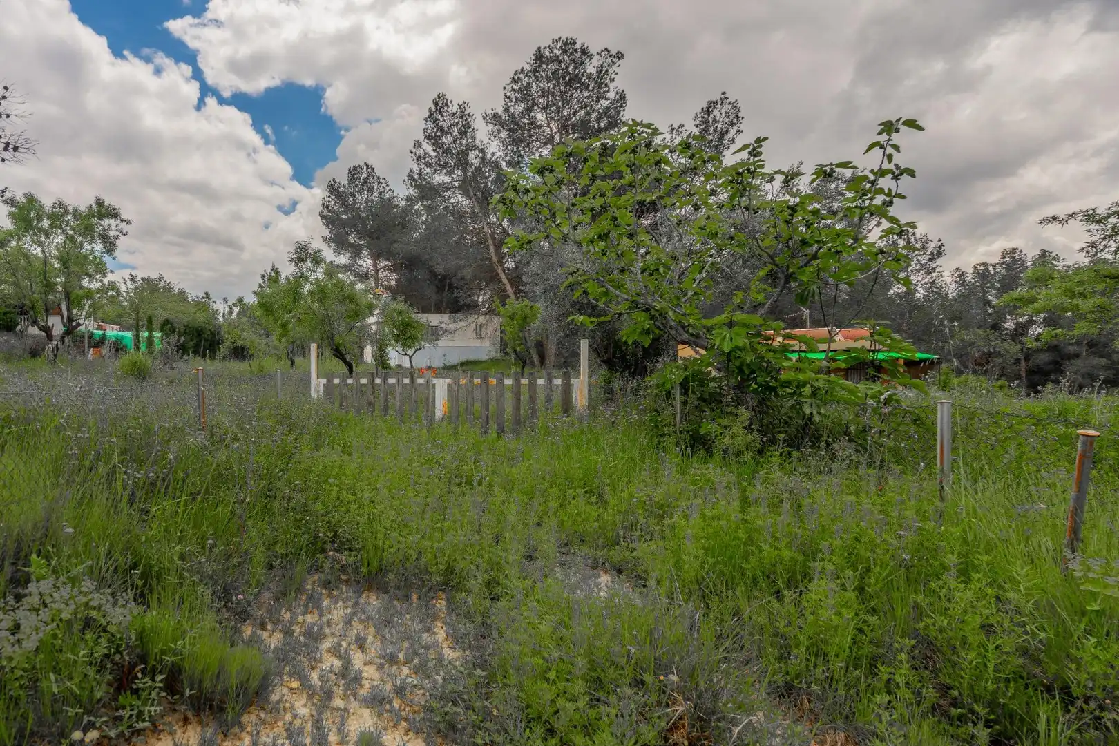 Country homes for sale in Jérica