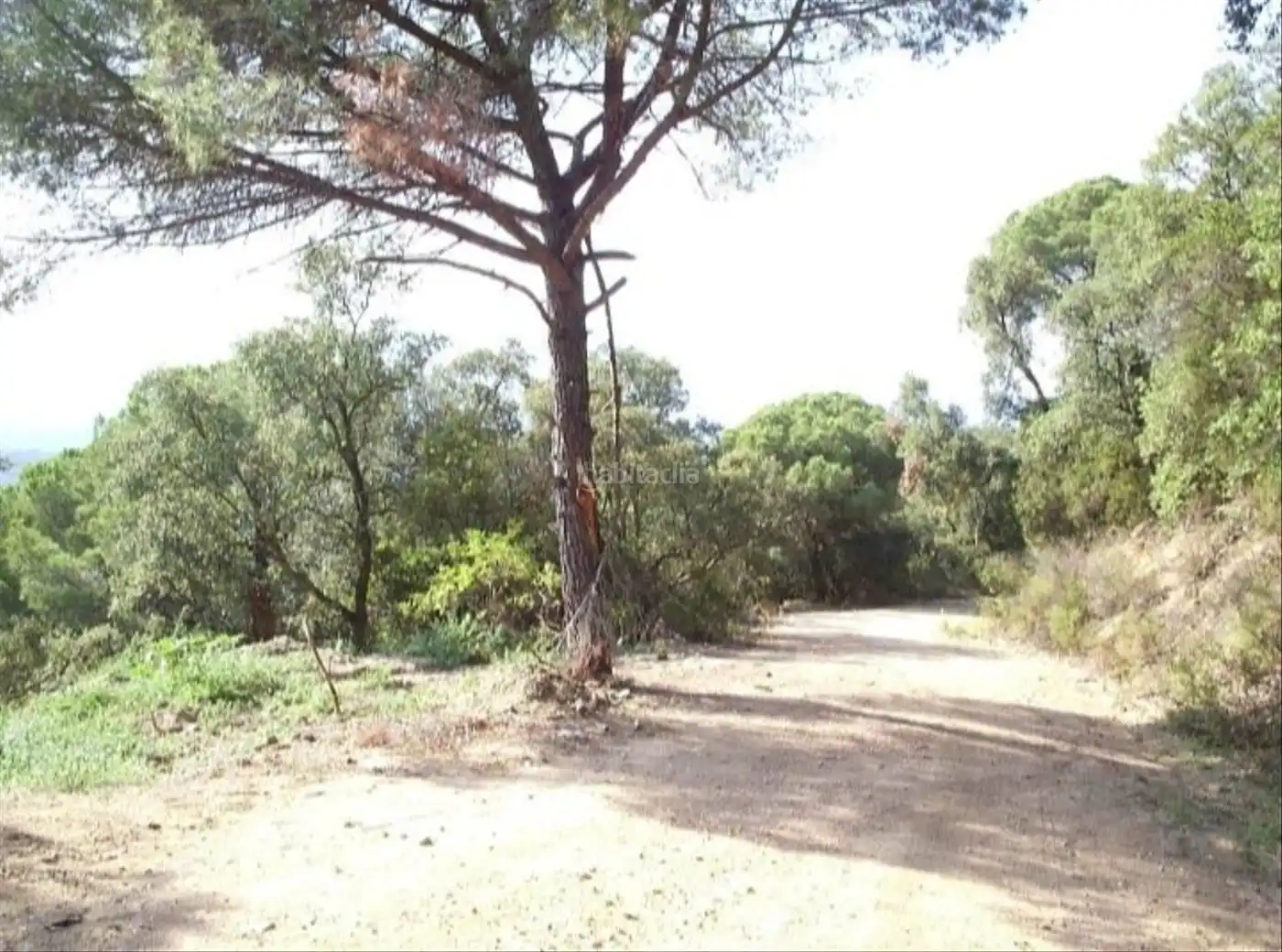Terreny rústic en venda a Urbanització Cal Batlle 65
